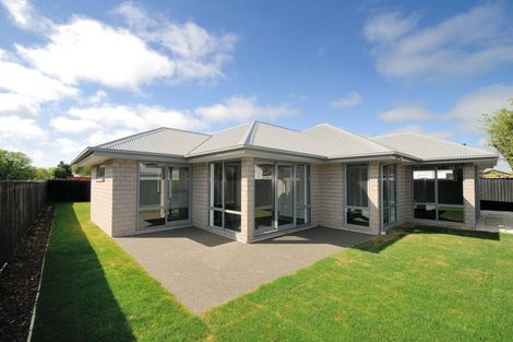 Photo of property in 53 Richill Street, Belfast, Christchurch, 8051