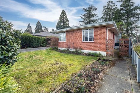 Photo of property in 51 Davis Crescent, Netherby, Ashburton, 7700