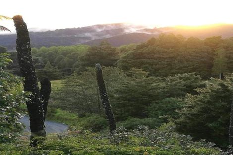 Photo of property in 431 Omaunu Road, Kaeo, 0479