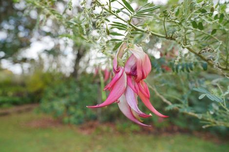 Photo of property in 120 Maher Street, Tisbury, Invercargill, 9877