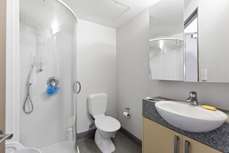 Photo of property in Dual Apartments, 306/142 Vivian Street, Te Aro, Wellington, 6011