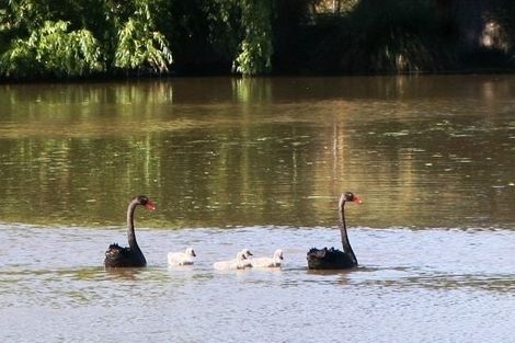 Photo of property in 135 Ballantyne Road, Poraiti, Napier, 4182