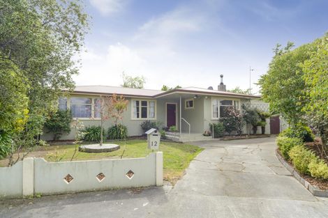 Photo of property in 12 Tawa Street, Palmerston North, 4414
