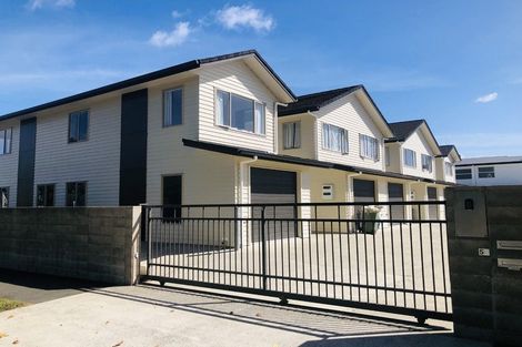 Photo of property in 50a Willoughby Street, Whitiora, Hamilton, 3200