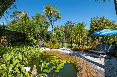 Photo of property in 208 Albany Heights Road, Albany Heights, Albany, 0792