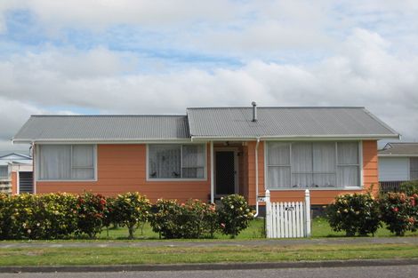 Photo of property in 147 Miranda Street, Stratford, 4332