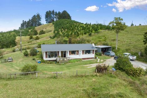 Photo of property in 451 Ararua Road, Waiotira, 0193