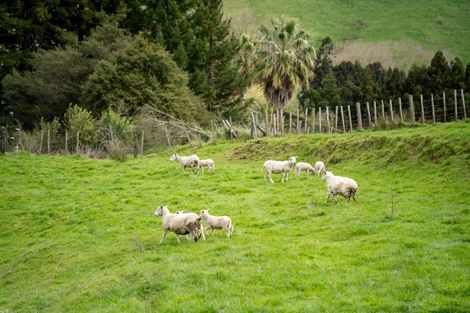 Photo of property in 11 Dunning Road, Karapiro, Cambridge, 3496