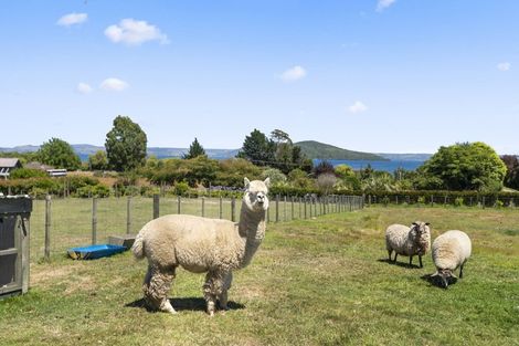 Photo of property in 31 Glenroy Place, Tikitere, Rotorua, 3074