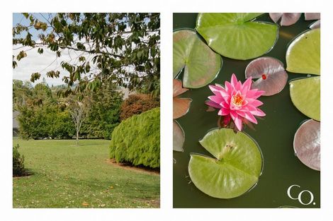 Photo of property in 47 Bell Street, Judea, Tauranga, 3110