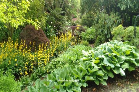 Photo of property in 172 Lepper Road, Inglewood, 4386