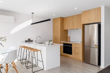 Photo of property in 1/55 Mathesons Road, Phillipstown, Christchurch, 8011