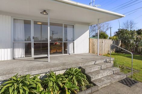 Photo of property in 25 Maple Avenue, Dinsdale, Hamilton, 3200