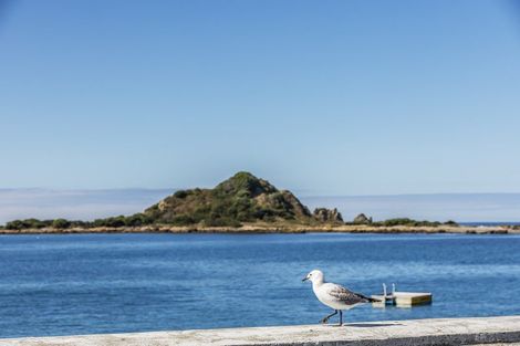 Photo of property in 156 Derwent Street, Island Bay, Wellington, 6023