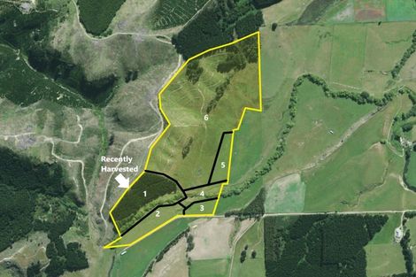 Photo of property in 21 Patterson Road, Goodwood, Palmerston, 9481