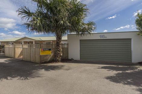 Photo of property in 16a Bristol Avenue, Brookfield, Tauranga, 3110