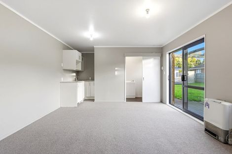 Photo of property in 9 Larsen Road, Panmure, Auckland, 1072