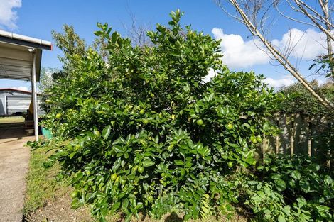 Photo of property in 12 Guy Road, Kaikohe, 0405