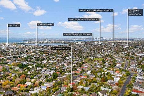 Photo of property in 20 Arosa Place, Forrest Hill, Auckland, 0620
