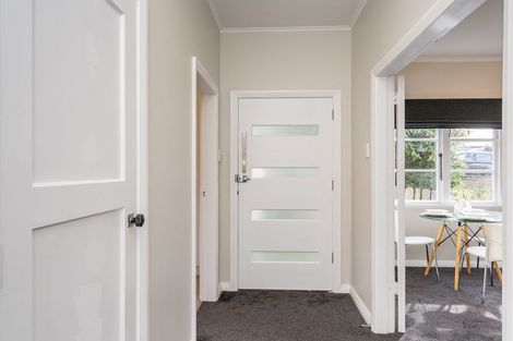 Photo of property in 113 Chapman Street, Wakari, Dunedin, 9010