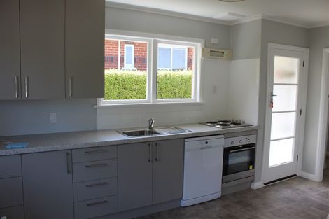 Photo of property in 117 Norwood Street, Normanby, Dunedin, 9010