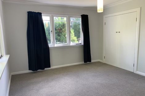 Photo of property in 66 Youngson Road, Whakamarama, Tauranga, 3180