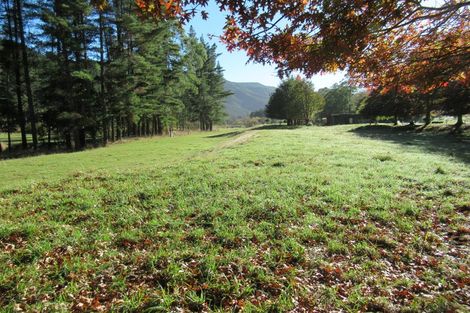 Photo of property in 99 Serpentine River Road, Aniseed Valley, Richmond, 7081