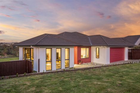 Photo of property in 17 Tongariro Drive, Aotea, Porirua, 5024