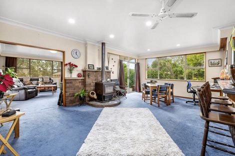 Photo of property in 379 Mangarino Road, Hangatiki, Te Kuiti, 3986