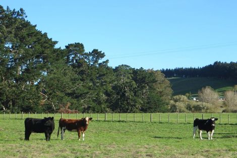 Photo of property in 3245 State Highway 2, Takapau, Waipukurau, 4281