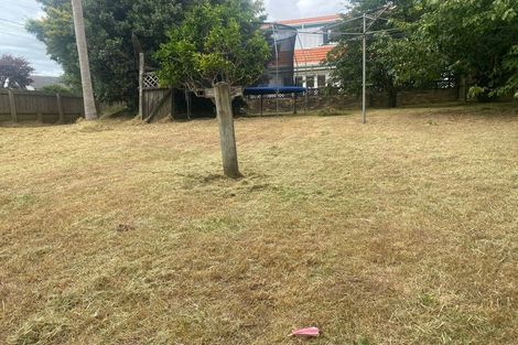 Photo of property in 57 Linwood Avenue, Mount Albert, Auckland, 1025