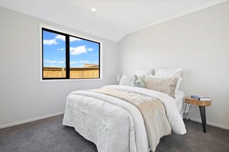 Photo of property in 113 Hillpark Drive, Pokeno, 2402