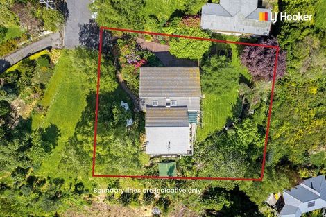 Photo of property in 193 Evans Street, Opoho, Dunedin, 9010