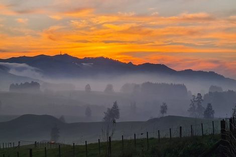 Photo of property in 82 Hicks Road, Maungatautari, Cambridge, 3494