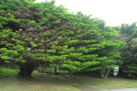 Photo of property in 116 Conclusion Street, Ascot Park, Porirua, 5024