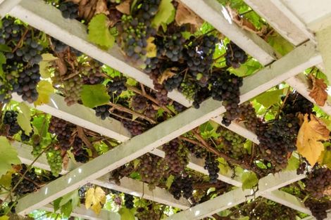 Photo of property in 158 Kingswood Road, Brookfield, Tauranga, 3110