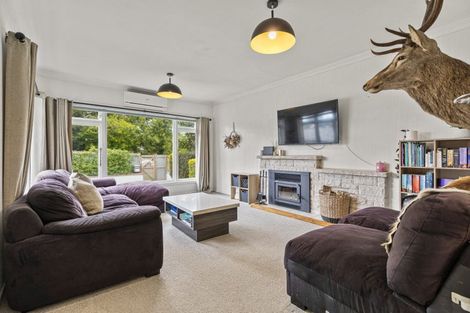 Photo of property in 26 Station Street, Tirau, 3410