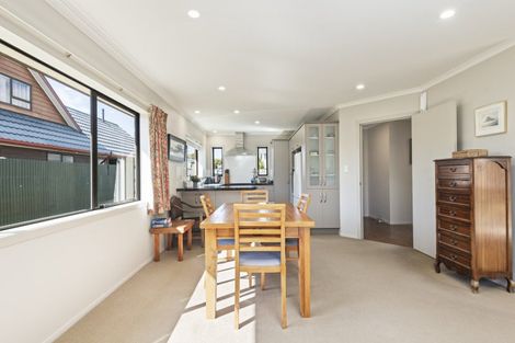 Photo of property in 19a Manson Street, Terrace End, Palmerston North, 4410