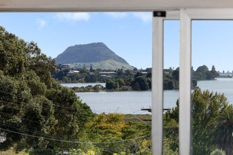 Photo of property in 51 Churchill Road, Judea, Tauranga, 3110