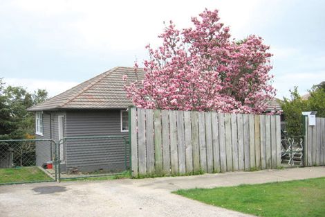 Photo of property in 103 Currie Street, Thames, 3500