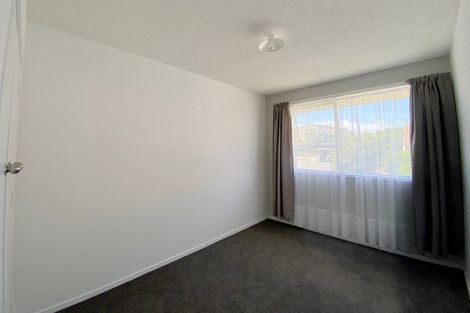 Photo of property in 1/54 Pembroke Street, Hamilton Lake, Hamilton, 3204