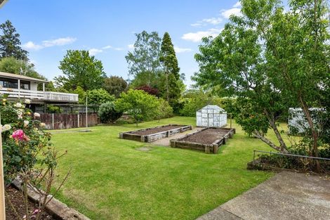 Photo of property in 79 Coronation Road, Morrinsville, 3300