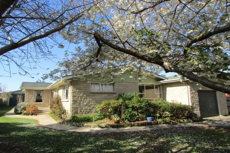 Photo of property in 56 Mill Road, Waimate, 7924