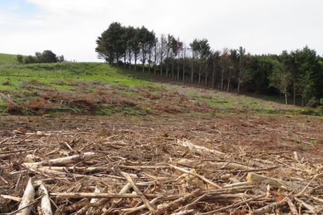 Photo of property in 59 Harbour View Rise, Mangonui, 0494