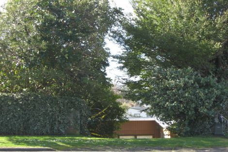 Photo of property in 10 Koromiko Place, Omori, Turangi, 3381