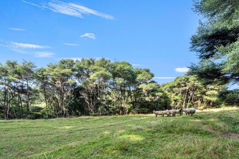 Photo of property in 158 Mcleod Road, South Head, Helensville, 0874