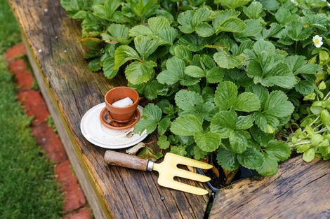 Photo of property in 50 Maryhill Terrace, Maryhill, Dunedin, 9011