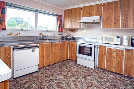 Photo of property in 17 Shere Street, Pleasant Point, 7903