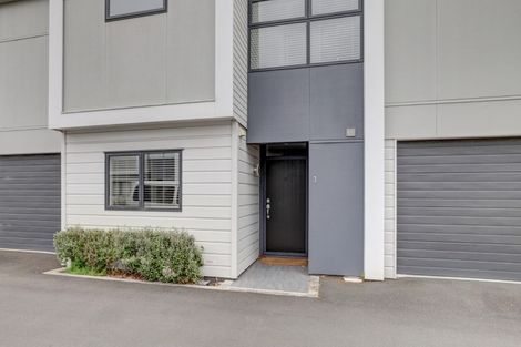 Photo of property in 3/195 Massey Street, Frankton, Hamilton, 3204