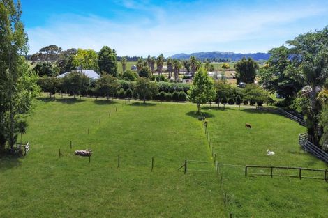 Photo of property in 262 Te Rahu Road, Poroporo, Whakatane, 3193